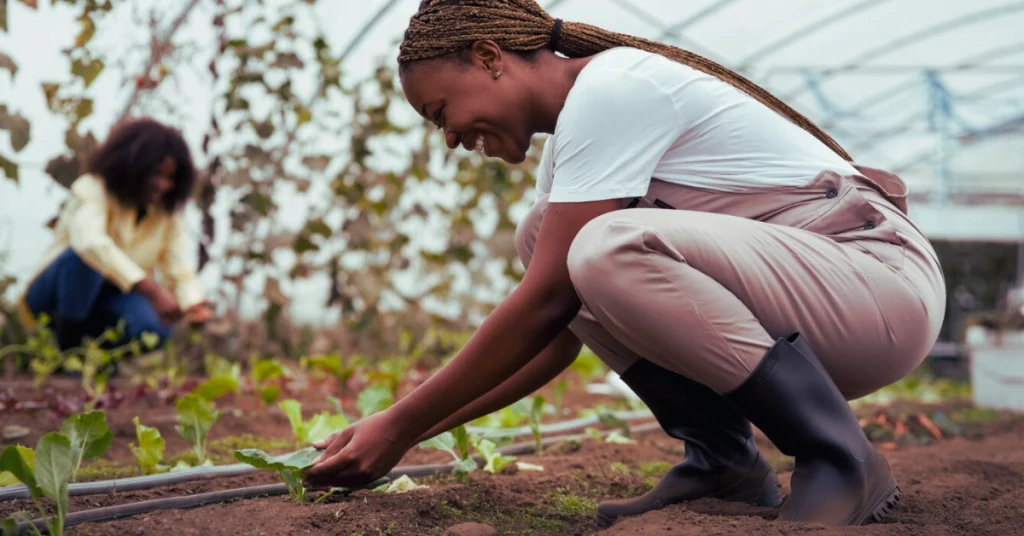 AgriFARM Learnership 2026