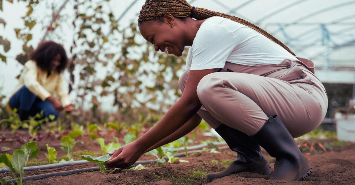 AgriFARM Learnership 2026
