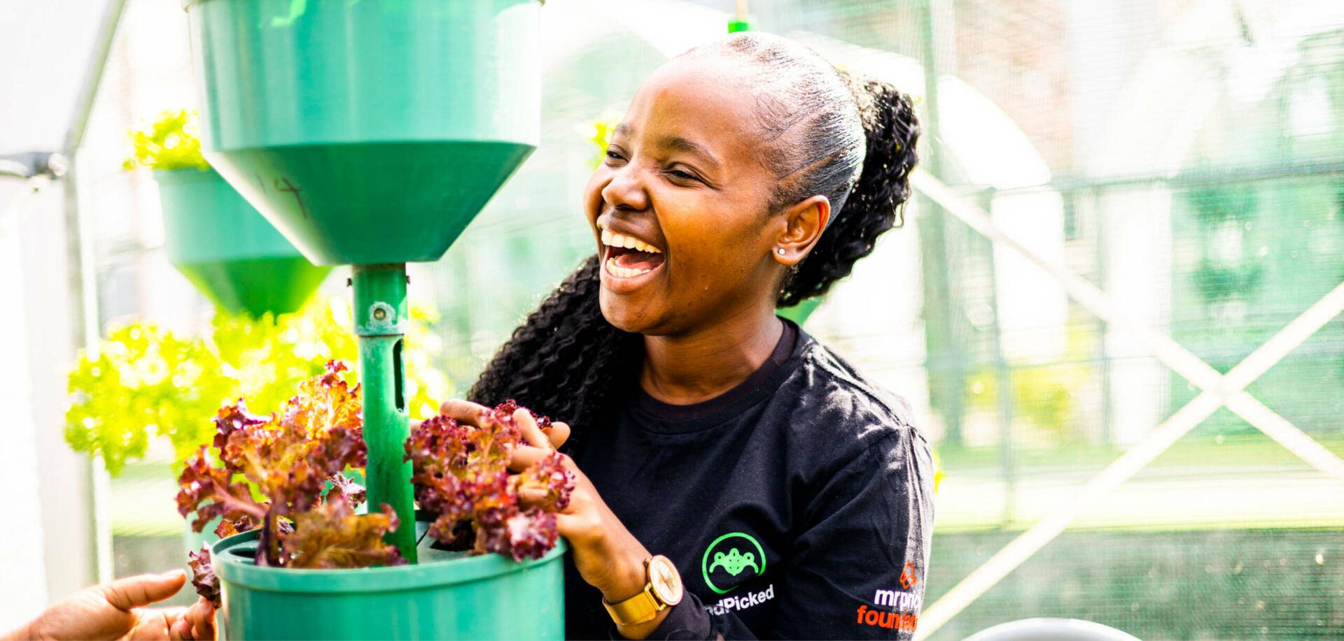 Mr Price Foundation HandPicked Professional Farming Programme 2026