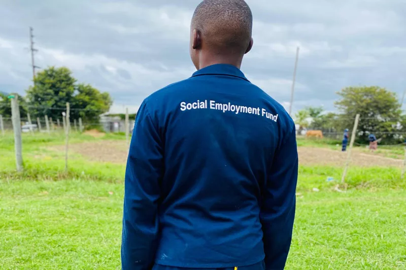How to Apply for the Social Employment Fund (SEF) in South Africa