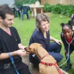 Study Veterinary Sciences and Animal Health at the University of Pretoria Study Veterinary Sciences and Animal Health at the University of Pretoria